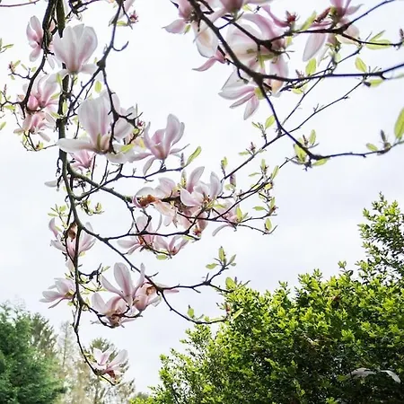 Veluwe Boutique * פוטן