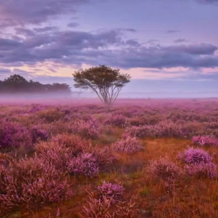Alpesi faház Veluwe Boutique