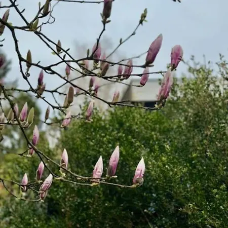 シャレー Veluwe Boutique プッテン