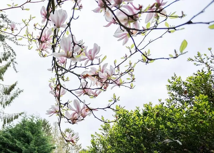 Veluwe Boutique * פוטן