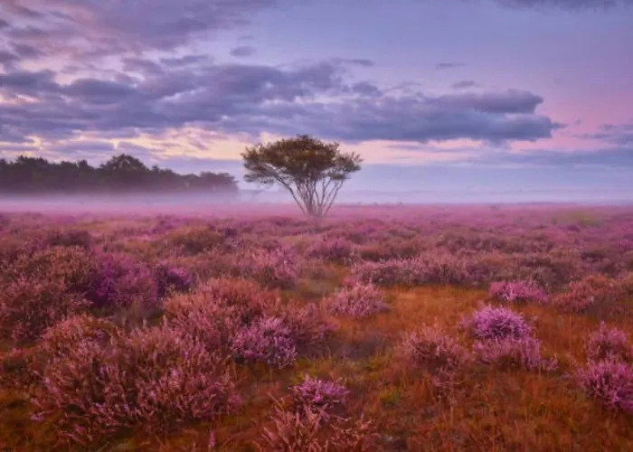 Alpstuga Veluwe Boutique
