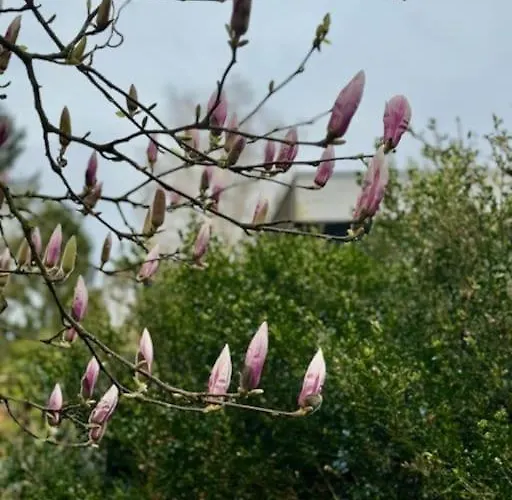 בקתה Veluwe Boutique פוטן