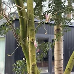 Veluwe Boutique