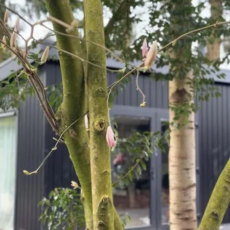 Veluwe Boutique